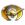 Online Casino Aladdins Gold